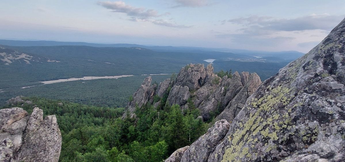  Без глупых рисков жизнь не в радость.  Симпсоны (The Simpsons) 