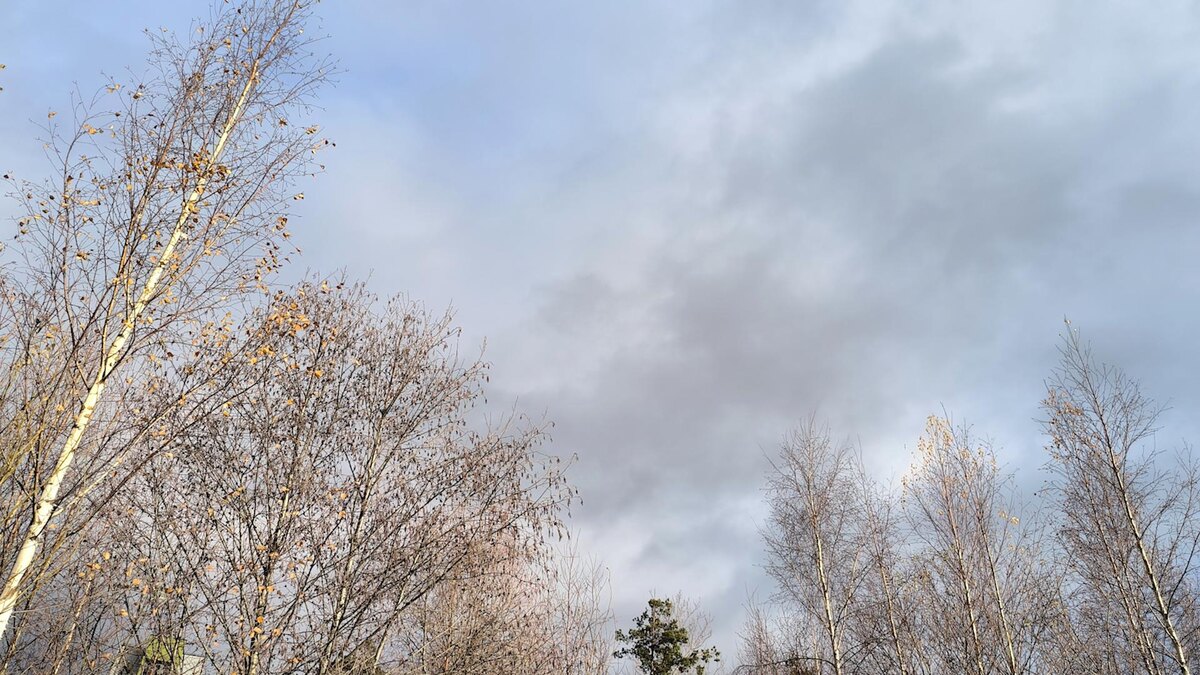    Фото: Maksim Konstantinov/globallookpress.com