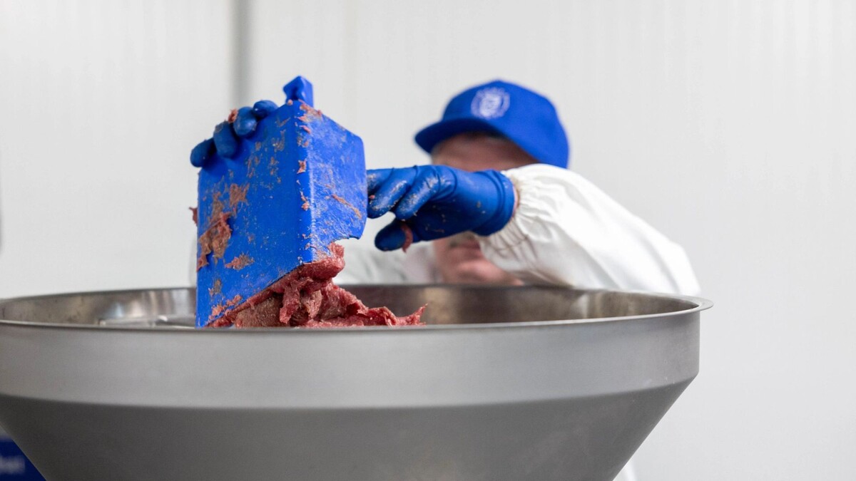    Фото: Александр Чирва/«Ямал-Медиа»