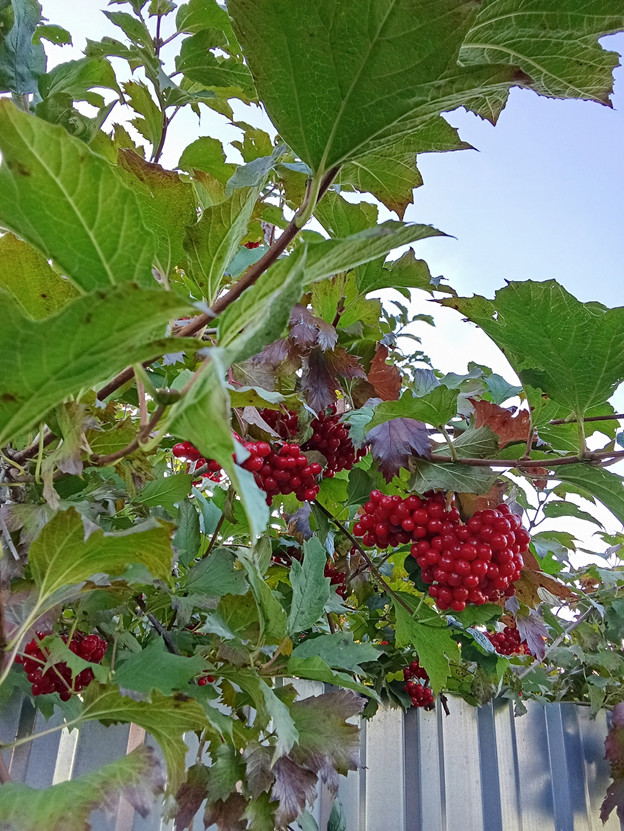 Личное фото