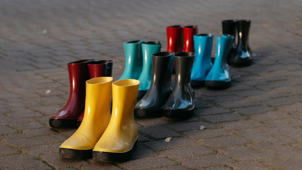 Цветные резиновые сапоги для женщин Nordman Alida