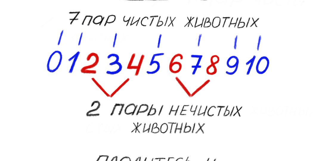 Ковчег Ноя - это десятичная система математики. Чистые и нечистые животные - это четные и нечетные числа.