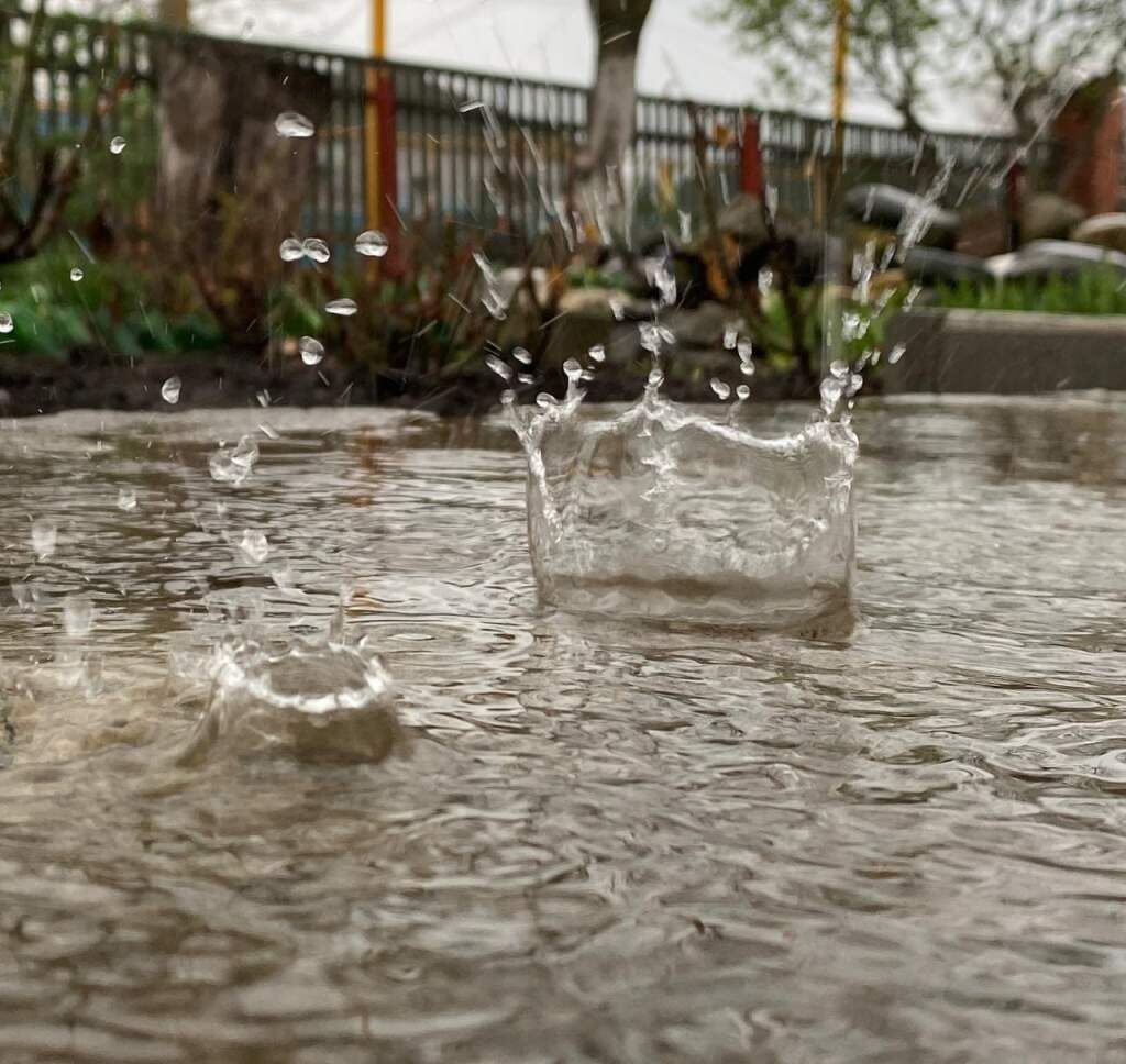    фото "Веселовские вести" Людмила Сахарчук Веселовские вести