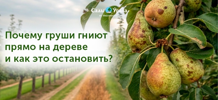 Создать карусель