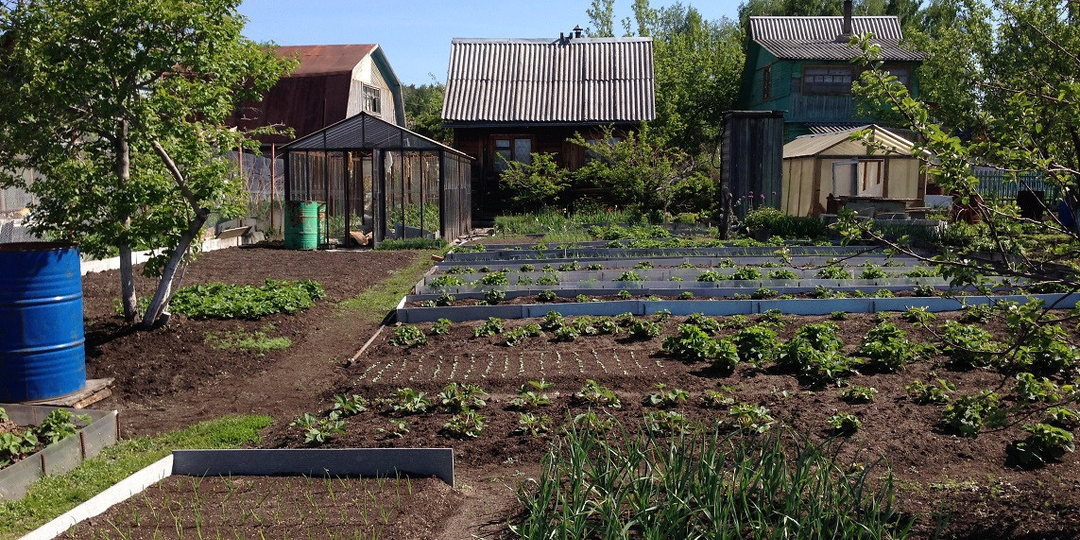 Новый порядок для владельцев земли: какие риски и штрафы грозят собственникам, и как этого избежать