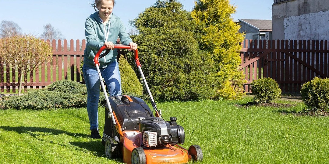 Как сократить площадь травы на участке и не косить большую территорию? Несколько советов