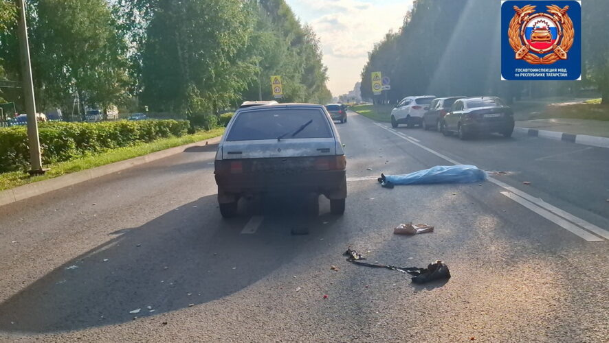    Фото: Госавтоинспекция Набережных Челнов