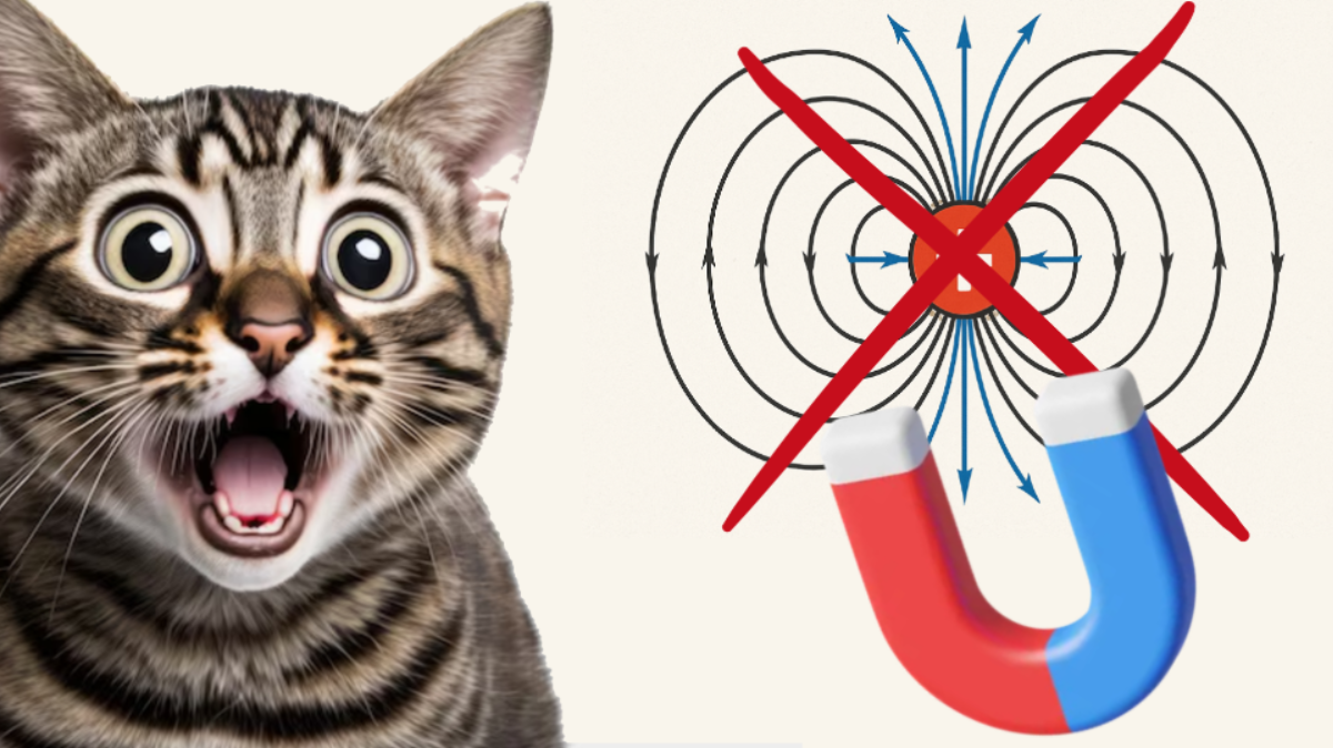 Магнитного поля не существует