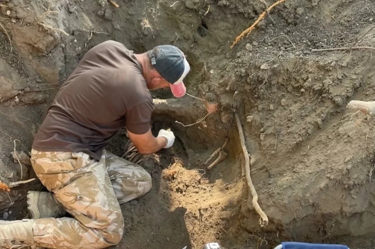    Виктор Густой расчищает найденные останки.