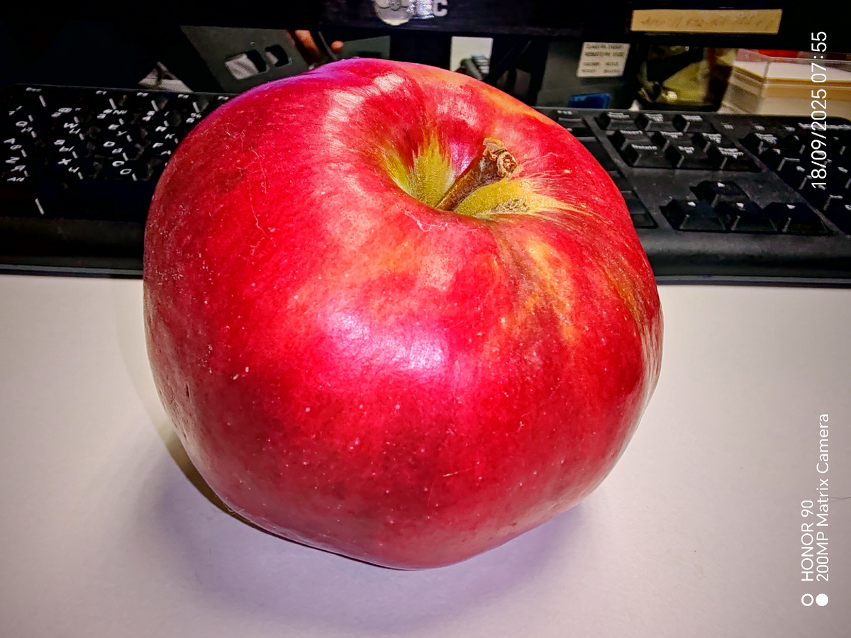 Фото автора канала. 