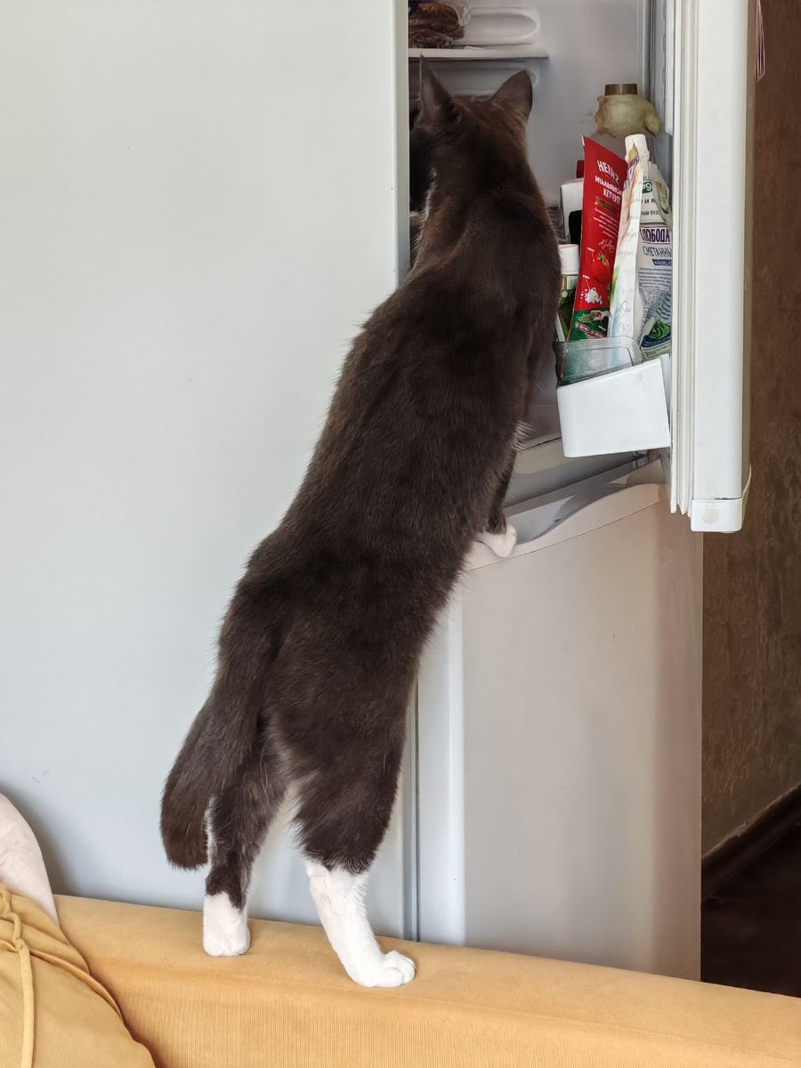 Личные расклады от 1000р. +7 966 378 7023 телефон для записи на личную консультацию. Только сообщения, на звонок не отвечаю!#таро #тароонлайн #тарологмосква #раскладкарттаро #тароподсказки #ленорман #любовь #отношения #эзотерика #руны #магия #чистка #картадня #таропрогноз  #ленорман #любовь #отношения #эзотерика #руны #магия #чистка #картадня #таропрогноз