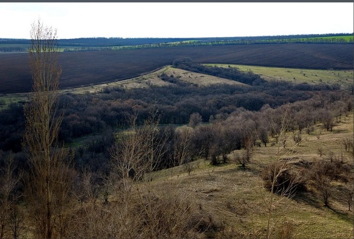    природа Редакция Газеты