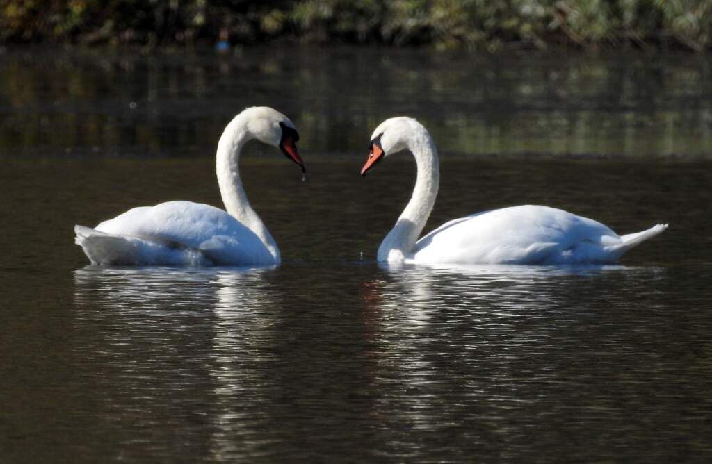    Фото: Павел Кудрин