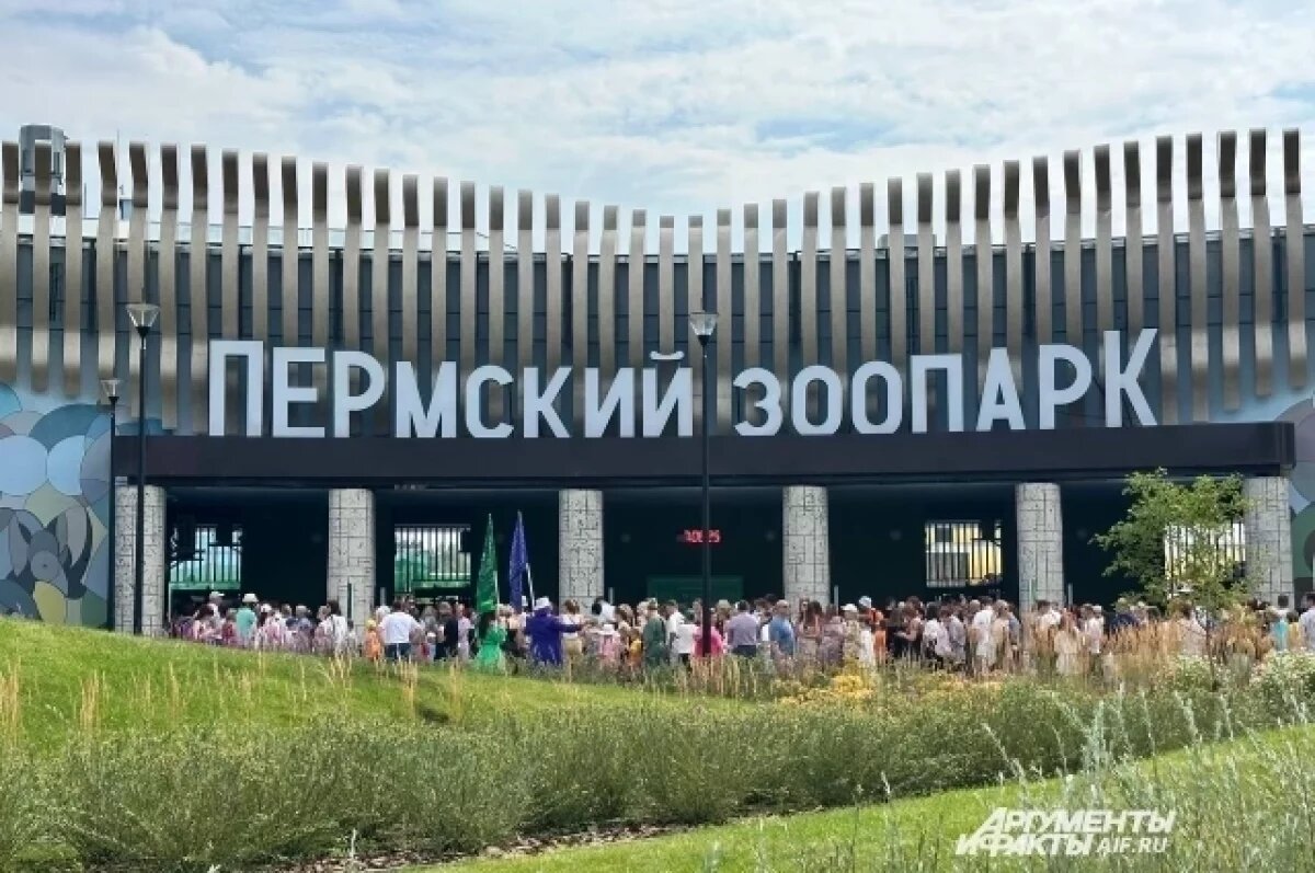    Новый Пермский зоопарк на день закроют из-за массового отключения воды