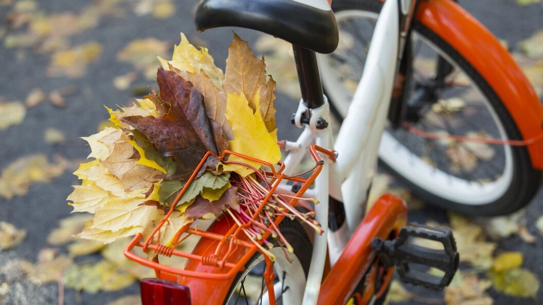    Фото: Aleksey Smyshlyaev/Globallookpress