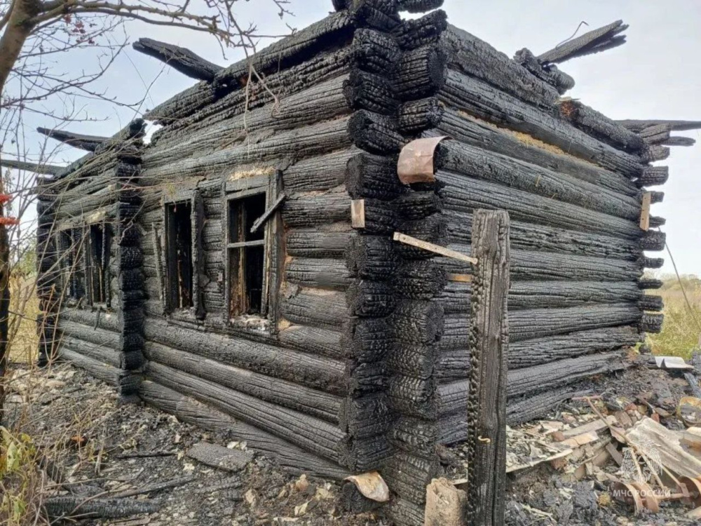     Фото: МЧС Курганской области