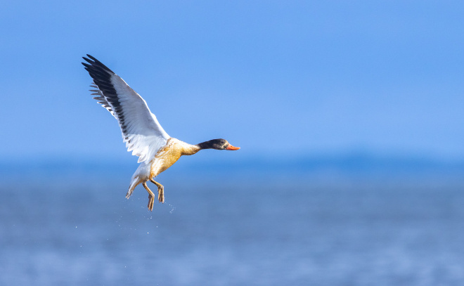    © @lady_noname / АстроФотоБолото