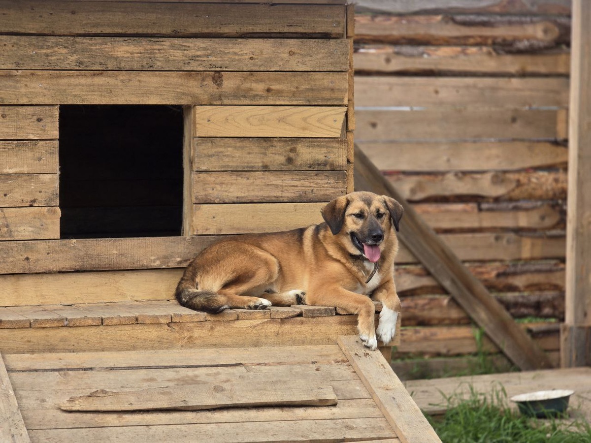    Фото: REGIONS/Яна Шаливская