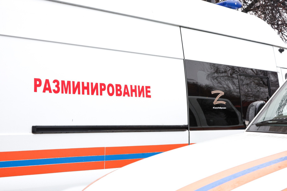    Наталья Шатохина/NEWS.ru