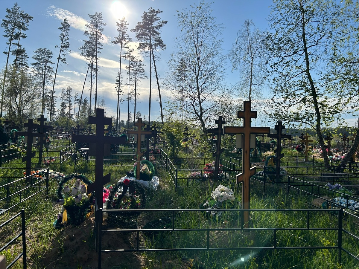    архив samaraonline24.ru