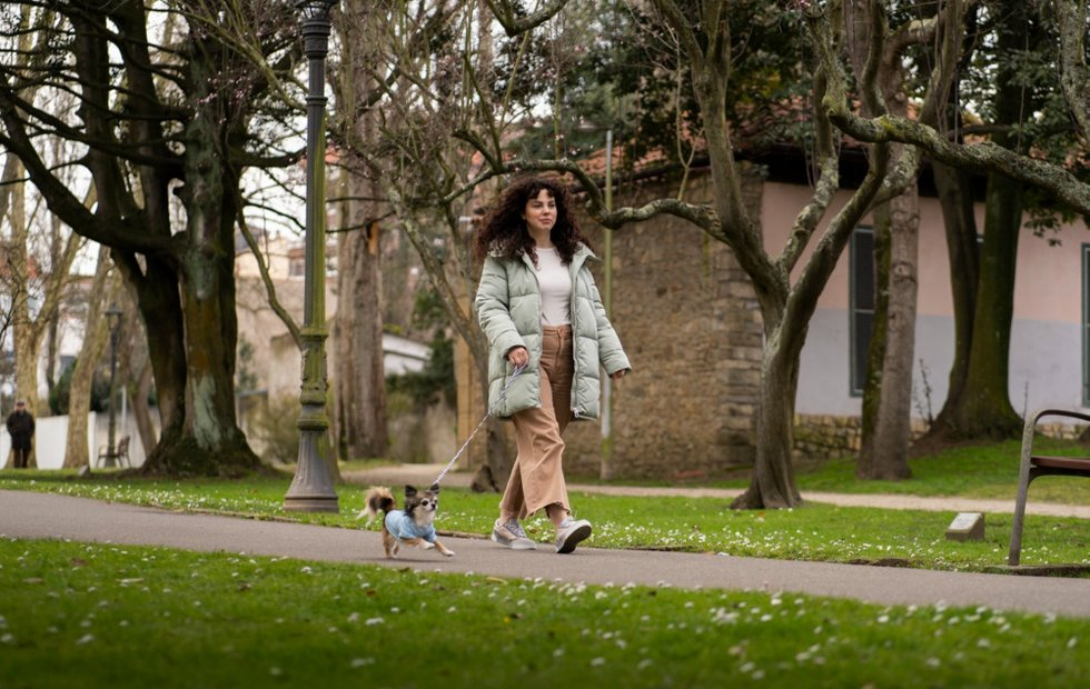 Фото с сайта: freepik.com 