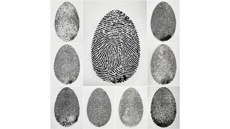    Добровольная дактилоскопия: ваша безопасность в ваших руках