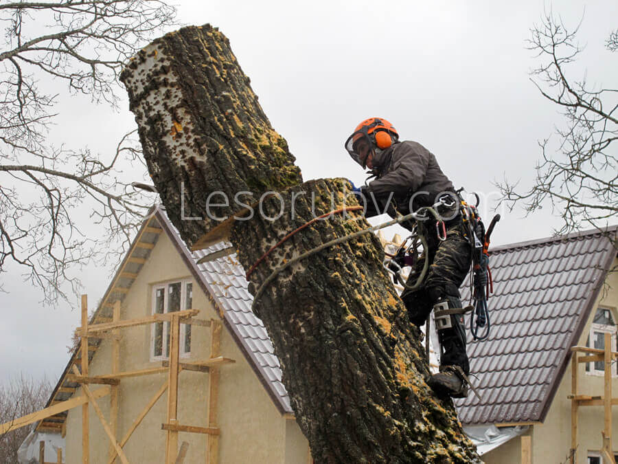 Как выглядит спиливание с завешиванием на практике