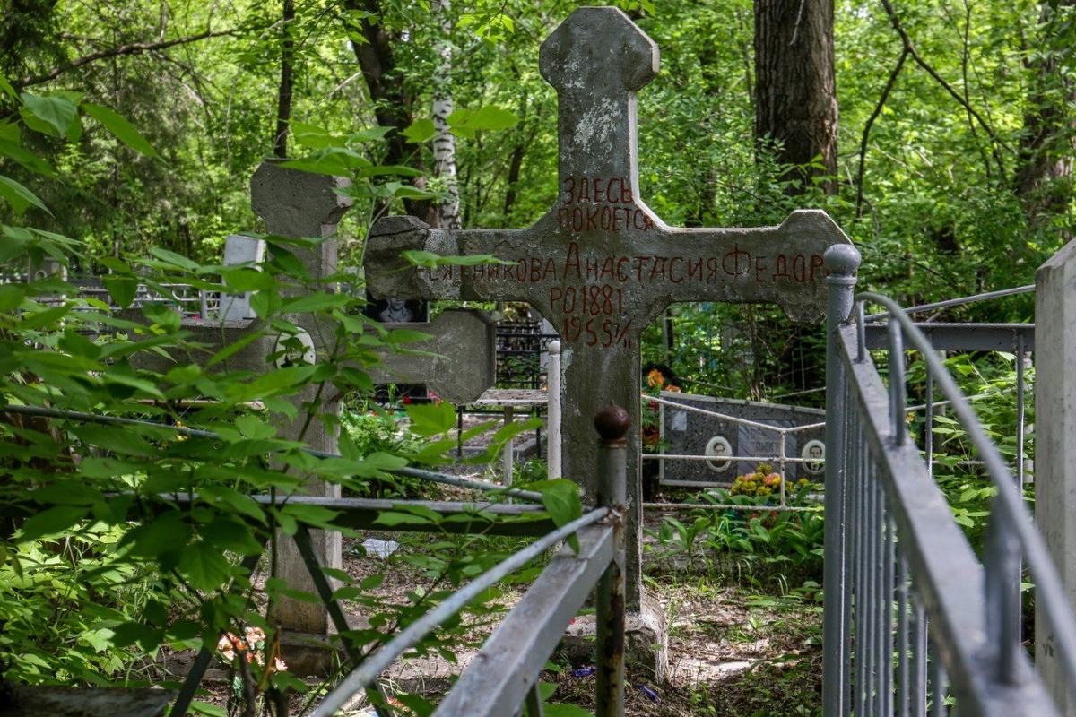    Фото: мэрия Новосибирска