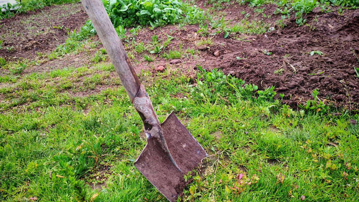 Правильно подготовленная осенью грядка - залог успешного цветения