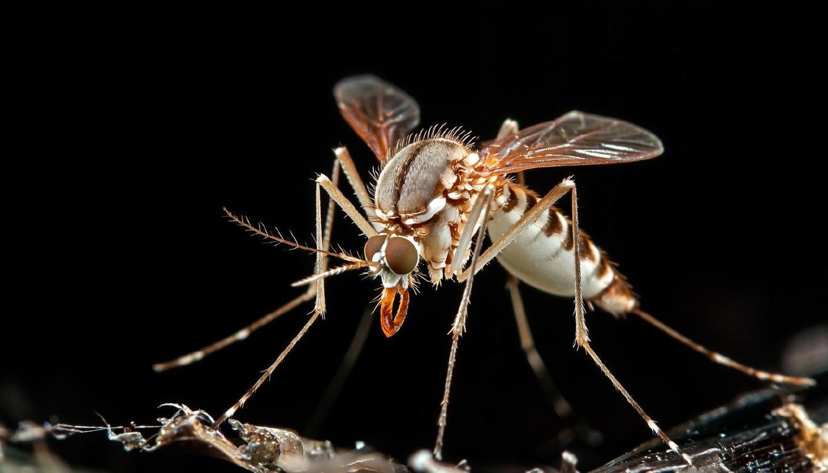    Фото: AI, источник: Kandinsky by Sber AI