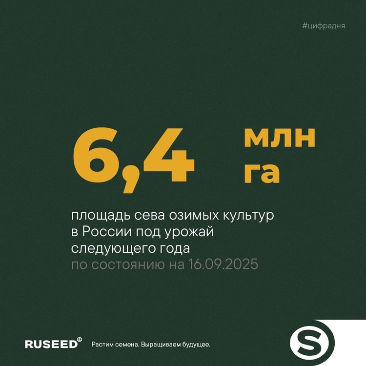     Озимая кампания идёт полным ходом: аграрии России засеяли 6,4 млн га
