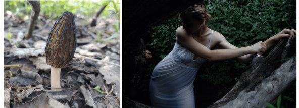 Посмотрите, какой изгиб на фото слева. Фото справа Романа Данилова.