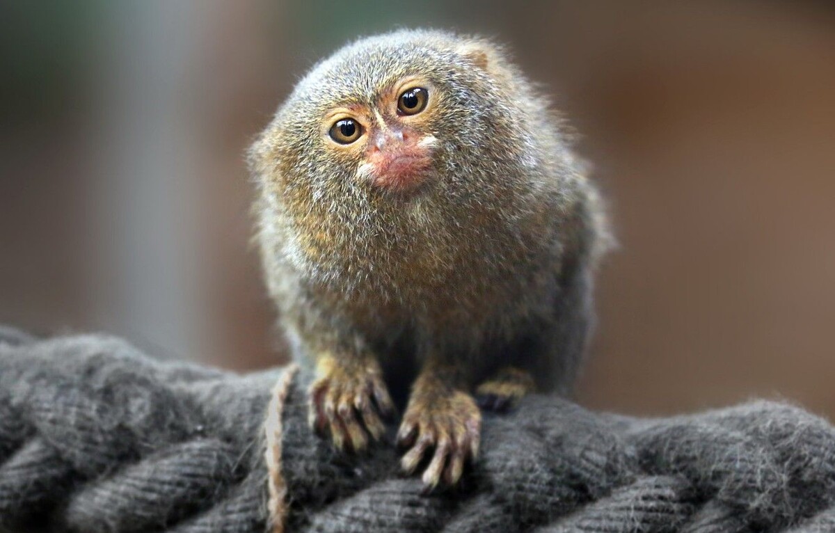 Фото взято из открытых источников