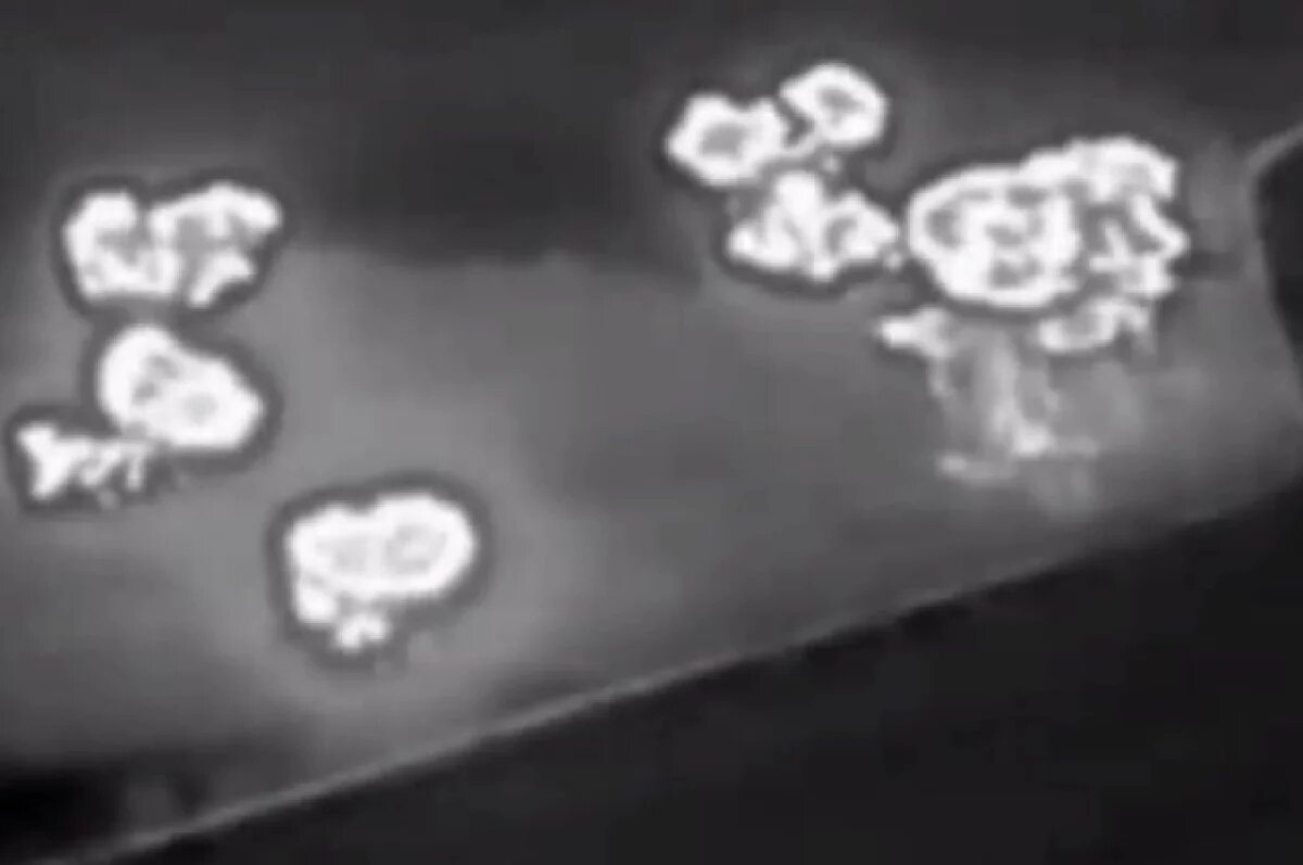    ВС РФ пресекли ротацию ВСУ на краматорско-дружковском направлении