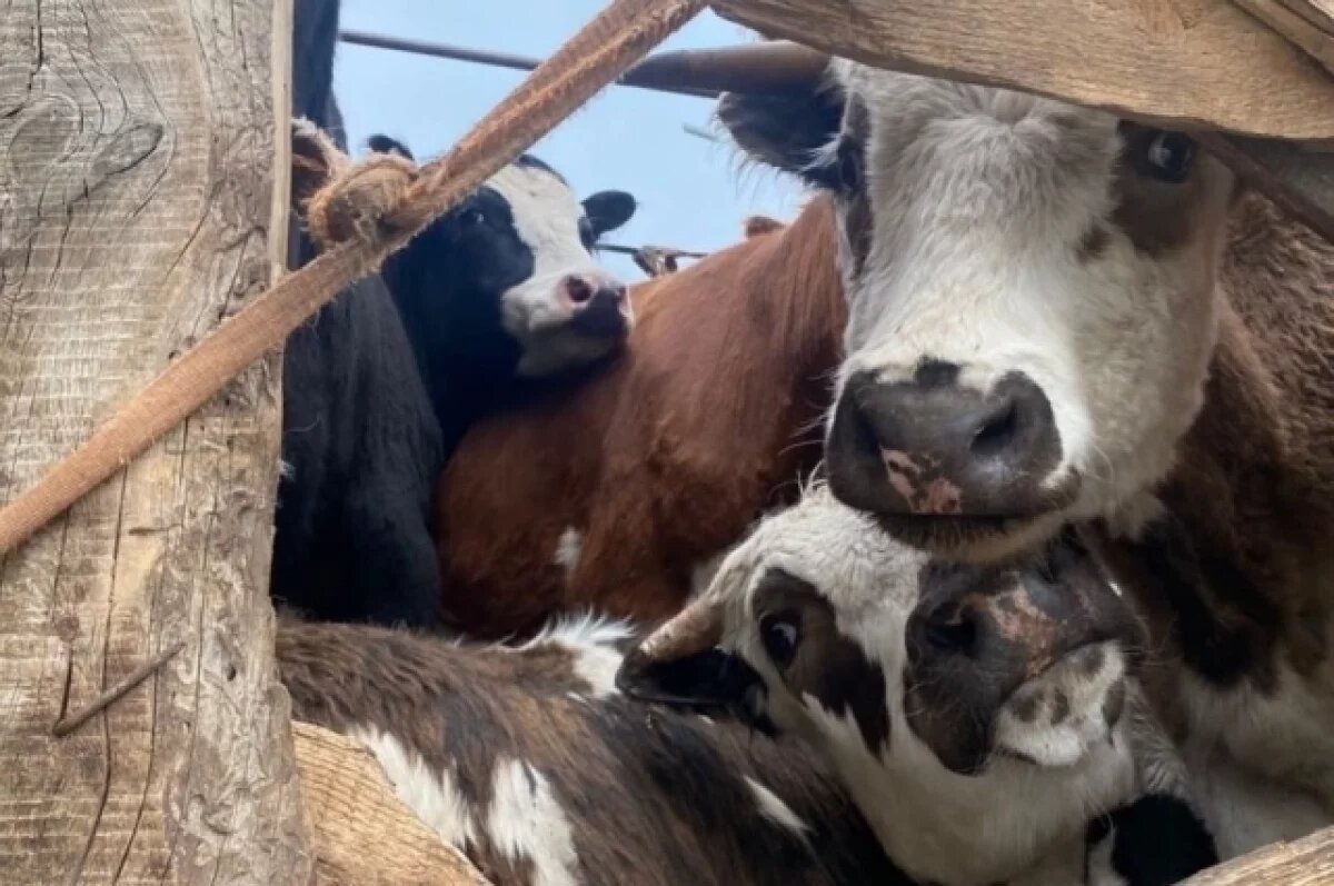    12 волгоградцев заразились калечащей человека болезнью, четверо – дети