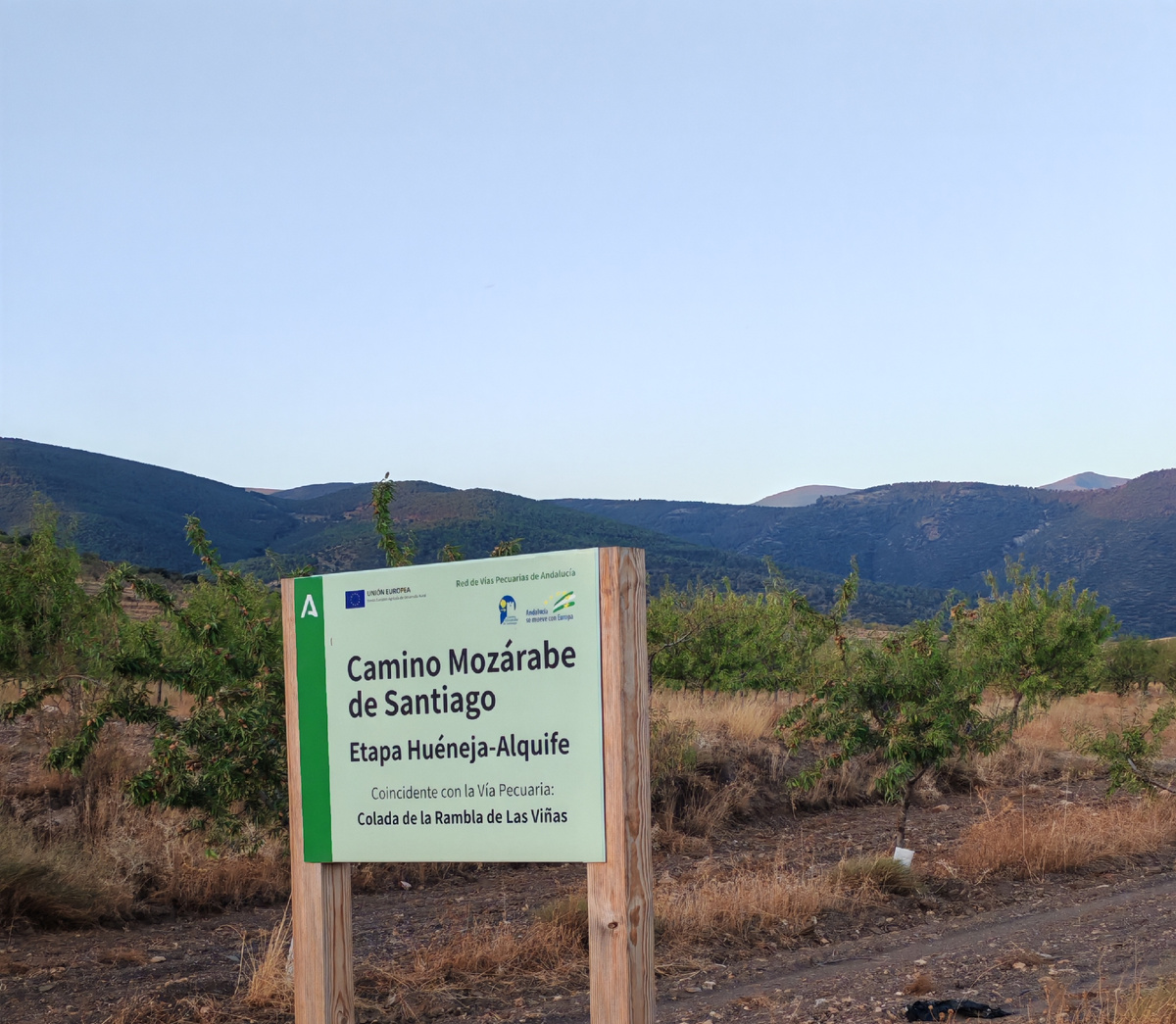 Сегодняшний этап