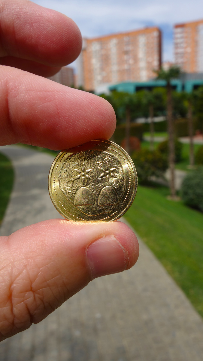 Монета номиналом 1 апсар 2025 года. 