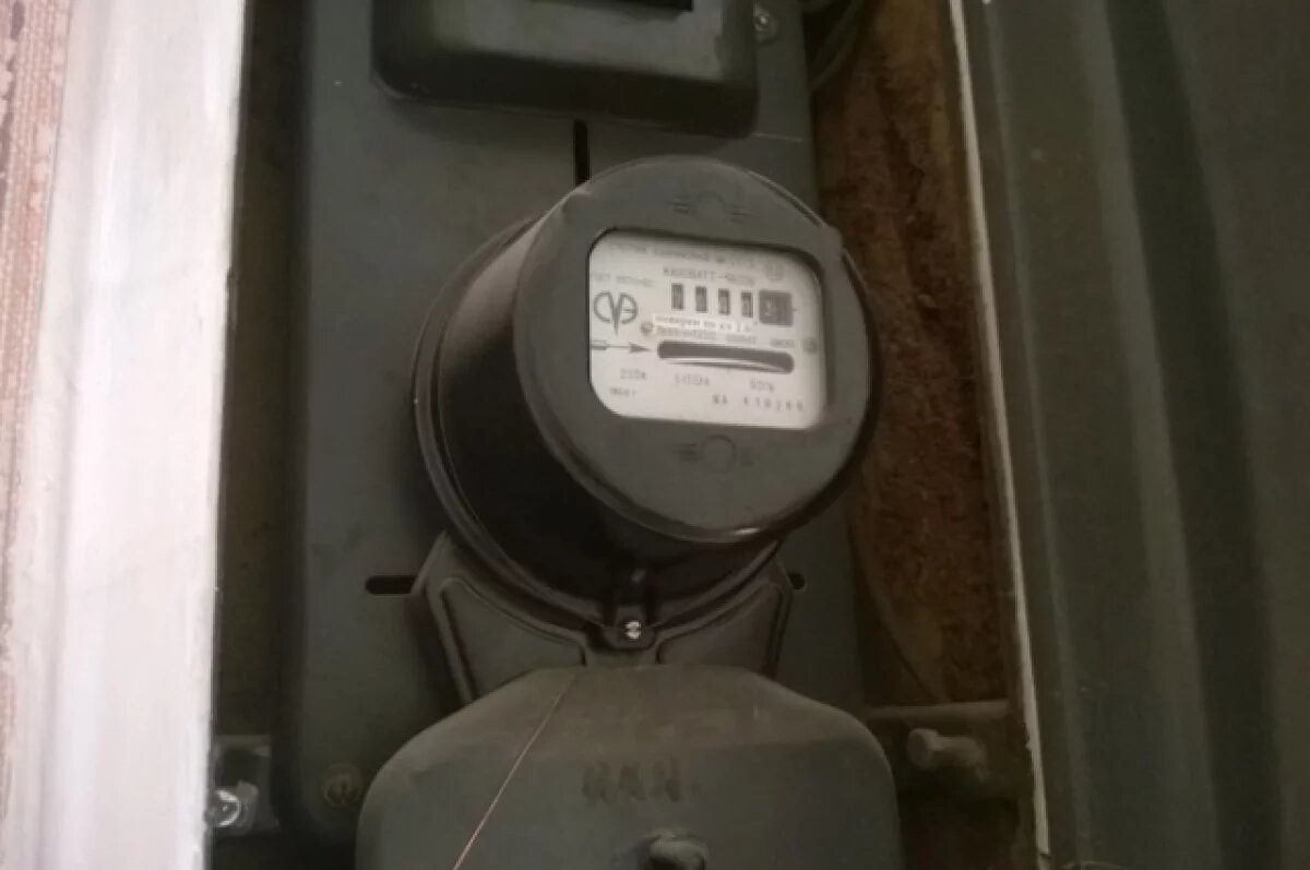    Приставы в Барнауле взыскали с СНТ 250 тыс. рублей долга за электроэнергию