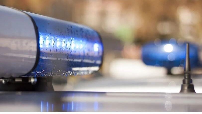    Фото: Siarhei Kuranets/Shutterstock/Fotodom