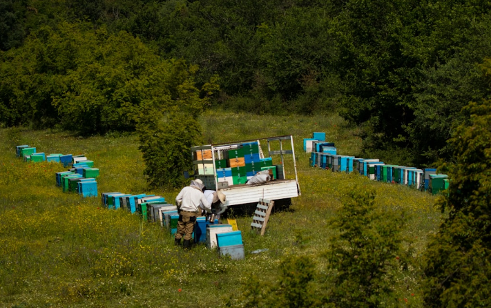 Процесс работы 