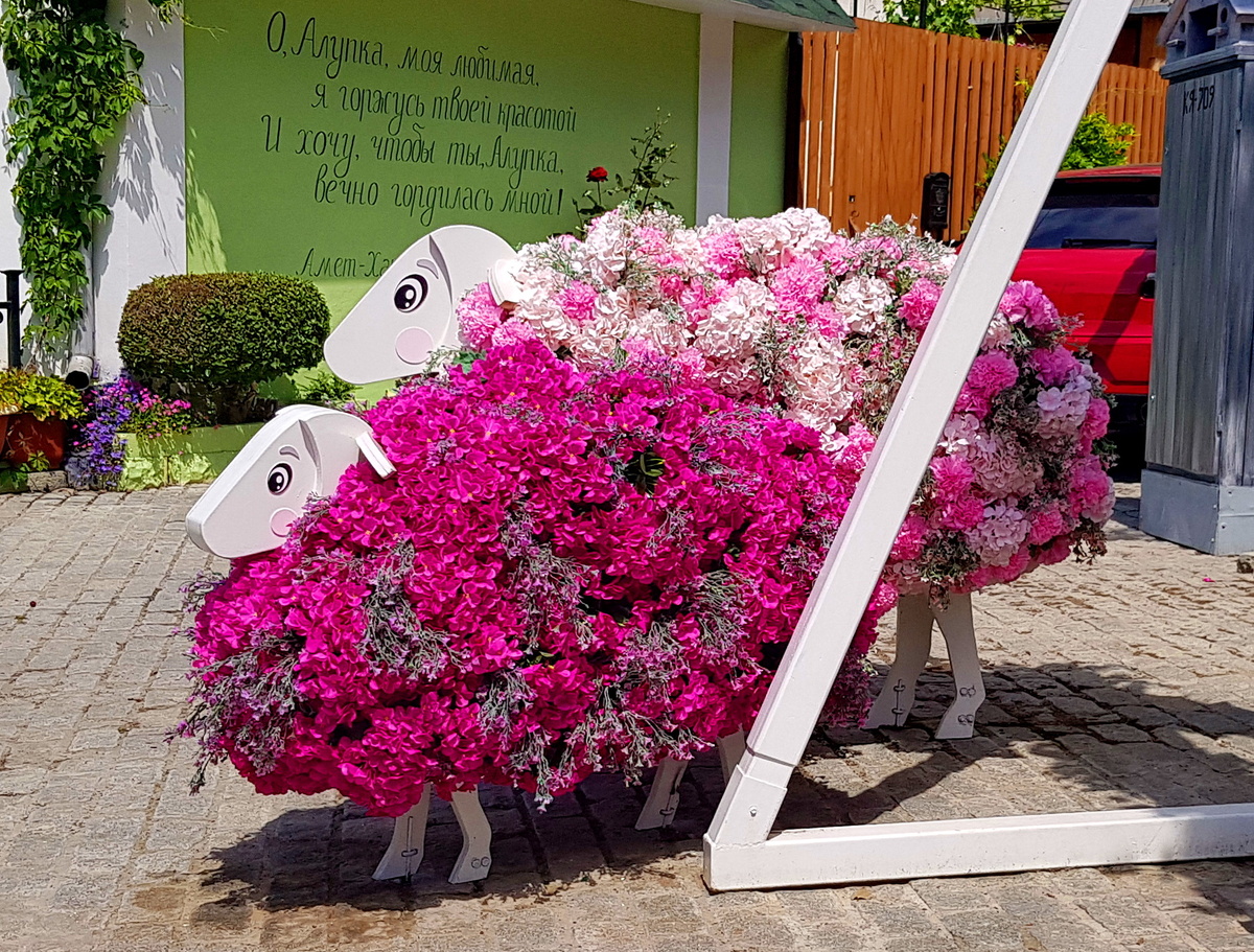 Раз - овечка, два - овечка.