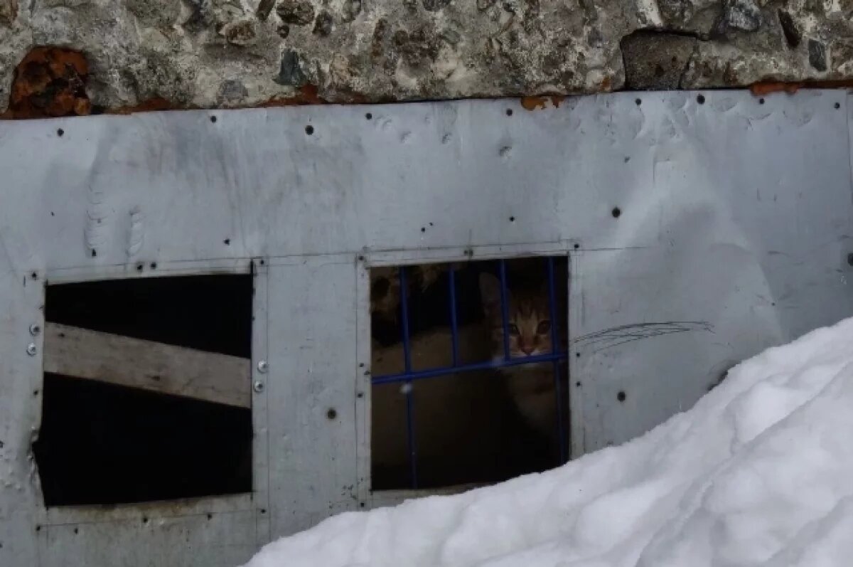    В частности, продолжается последовательная работа по капремонту дворовых территорий.