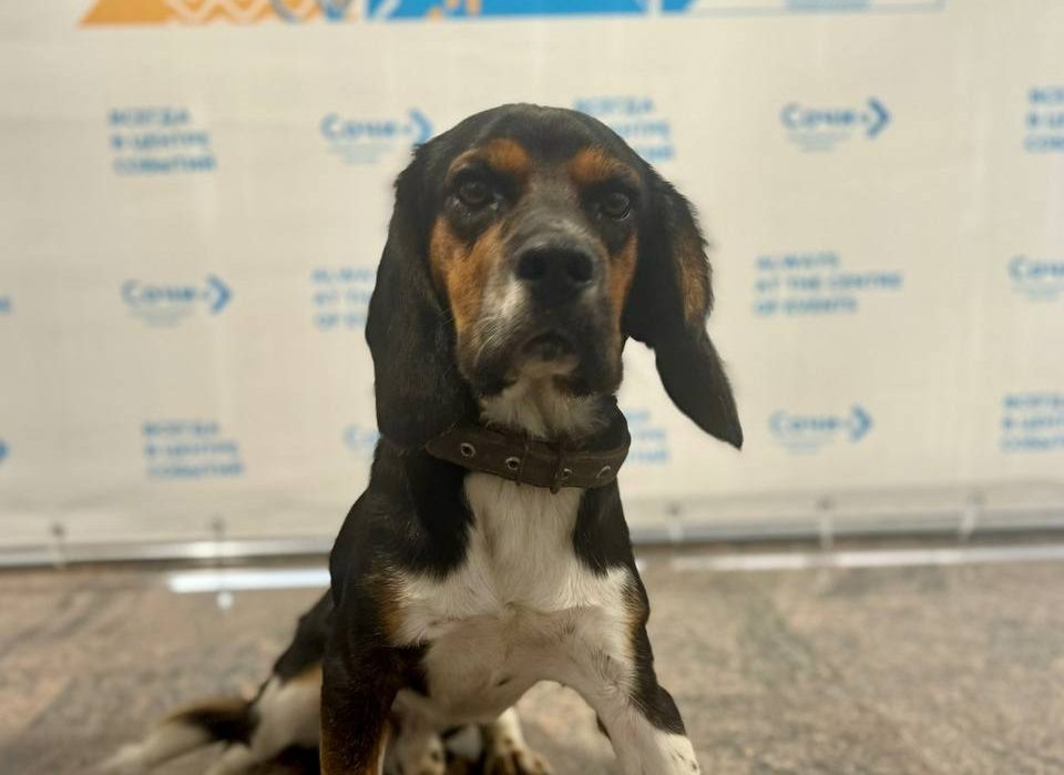    Фото: пресс-служба аэропорта Сочи