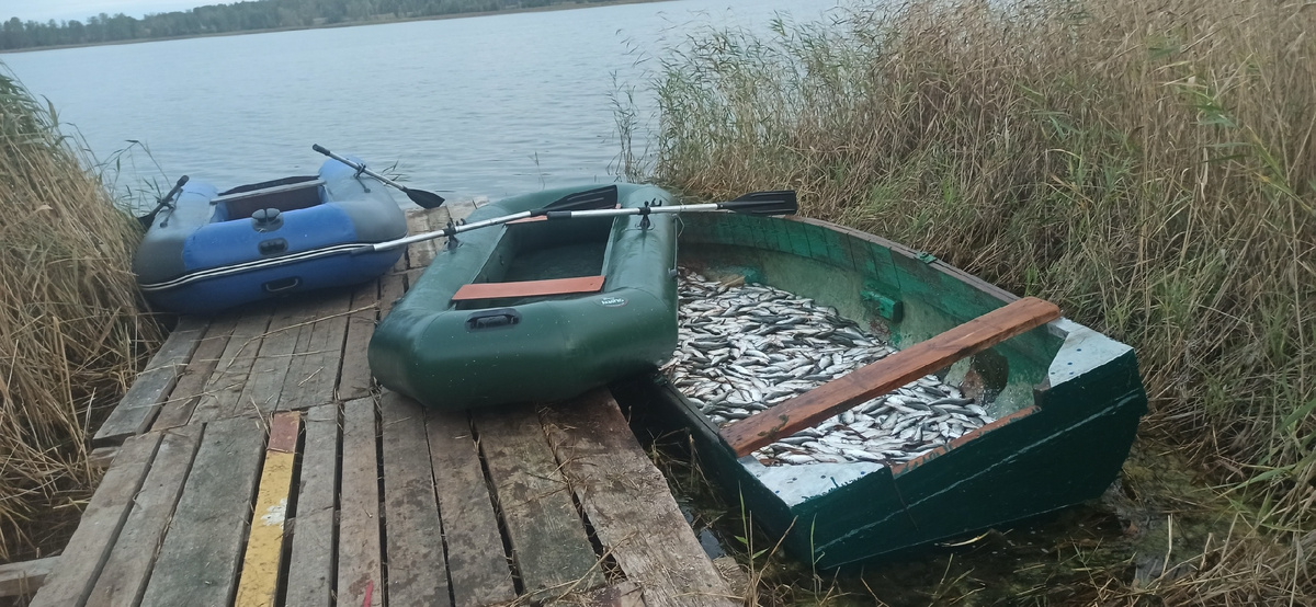 Фото: пресс-служба ГУ МВД России по Челябинской области