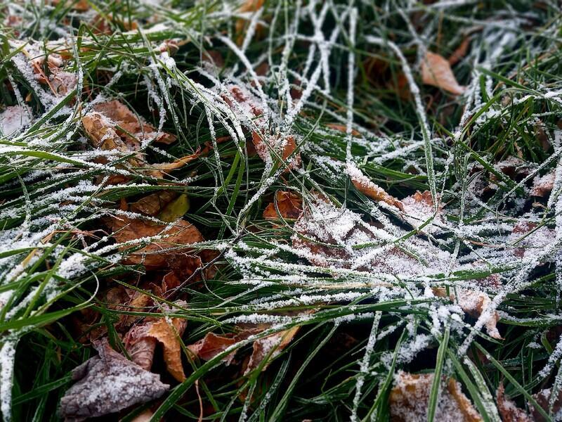 © Фото: nts-tv.ru