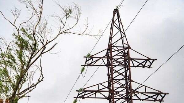    © РИА Новости Крым . Дмитрий Макеев