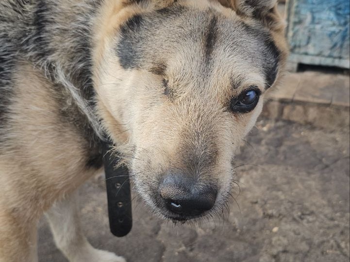 Сжавшимся в тугой клубок, почти не подающим признаков жизни...