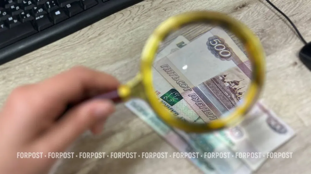 Зарплату ниже МРОТ дают как в бюджетном, так и частном секторе России
Фото:
Татьяна Воробьёва / ForPost