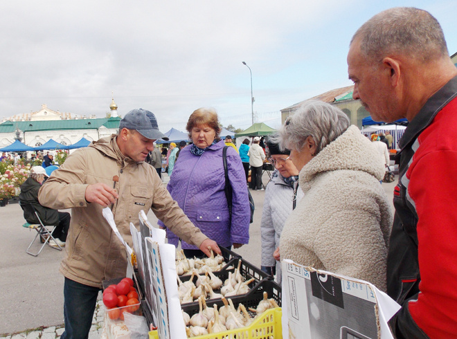
Овощевод из Неволино Дмитрий Сахаров привёз на ярмарку чеснок собственной селекции