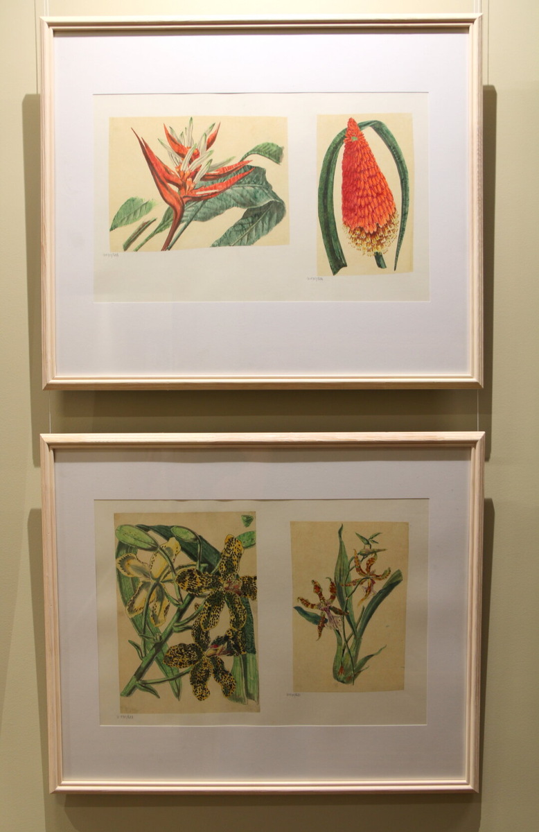    Фото: Изображение предоставлено «Собака.ru» пресс-службой Театральной библиотеки